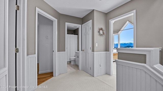 3 Red Wing Ln, Carbondale, CO 81623 - hall featuring wainscoting and light colored carpet