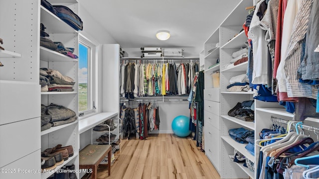 3 Red Wing Ln, Carbondale, CO 81623 - walk in closet with wood finished floors
