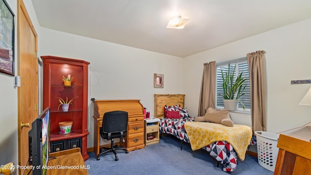 1300 Johnson Way, Craig, CO 81625 - bedroom featuring carpet floors