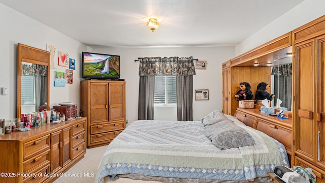 1300 Johnson Way, Craig, CO 81625 - bedroom with light carpet