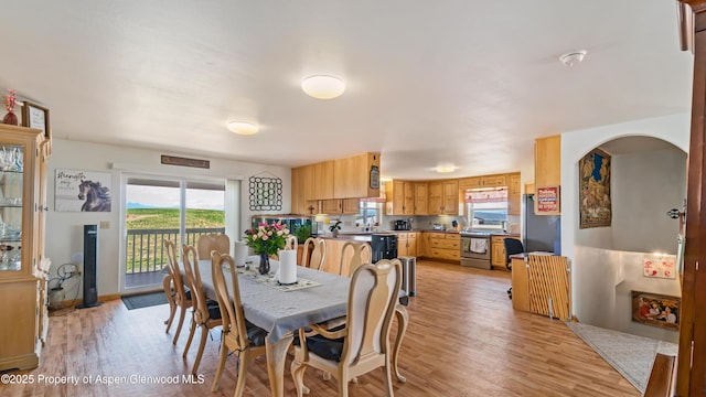 1300 Johnson Way, Craig, CO 81625 - dining room with light wood-style floors, healthy amount of natural light, and arched walkways