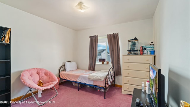 1300 Johnson Way, Craig, CO 81625 - bedroom featuring carpet and baseboards