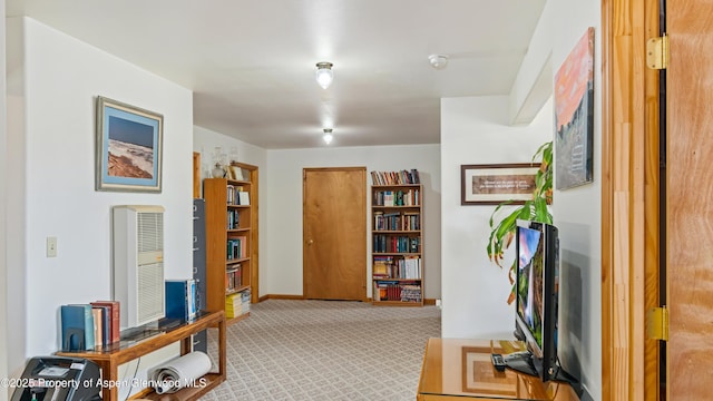 1300 Johnson Way, Craig, CO 81625 - hall featuring heating unit and carpet flooring