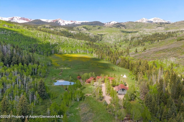 6855 Capitol Creek Rd, Snowmass, CO 81654 - view of mountain background with a nearby body of water and a heavily wooded area