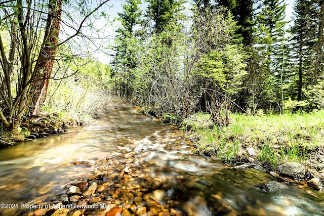6855 Capitol Creek Rd, Snowmass, CO 81654 - view of nature