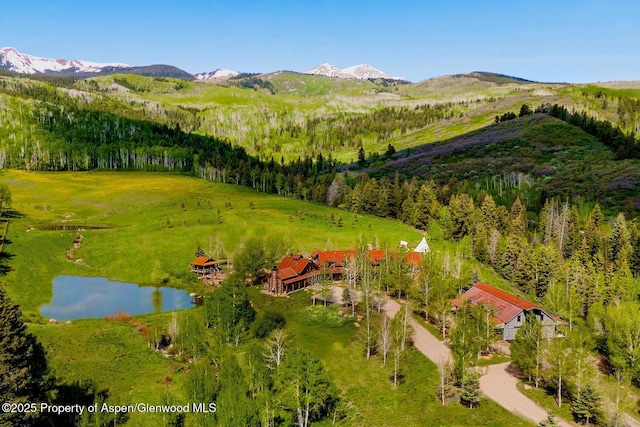 6855 Capitol Creek Rd, Snowmass, CO 81654 - view of subject property with a water and mountain view