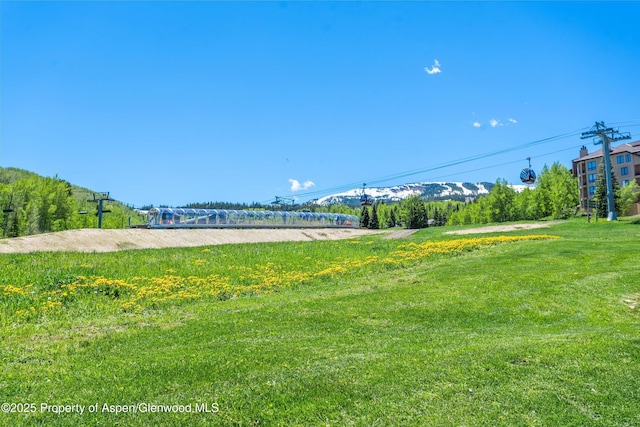 360 Wood Rd Unit 103, Snowmass Village, CO 81615 - photo 11