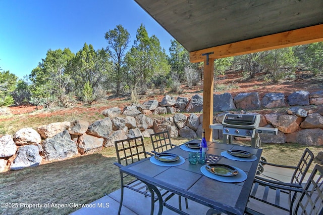 1015 Hidden Valley Dr, Glenwood Springs, CO 81601 - photo 16