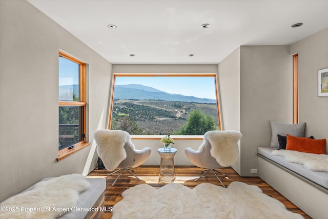 sitting room featuring a mountain view and wood finished floors