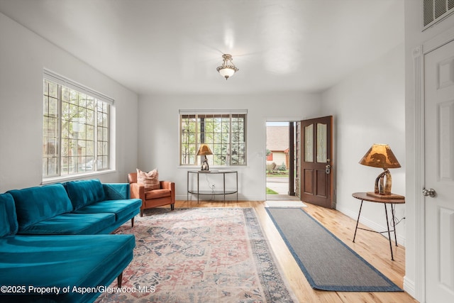 121 Ranch Creek Ln, Carbondale, CO 81623 - living room featuring wood finished floors and baseboards