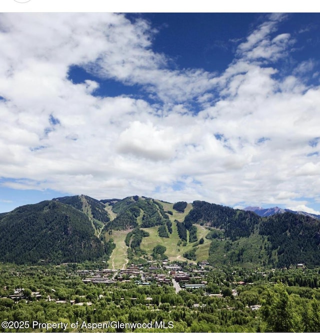 804 Hunter Creek Rd, Aspen, CO 81611 - photo 2