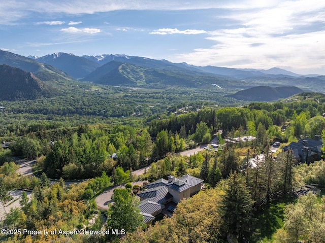 804 Hunter Creek Rd, Aspen, CO 81611 - photo 29