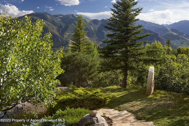 804 Hunter Creek Rd, Aspen, CO 81611 - photo 27