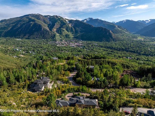 804 Hunter Creek Rd, Aspen, CO 81611 - photo 10