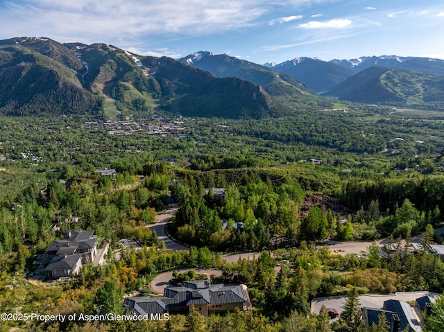 804 Hunter Creek Rd, Aspen, CO 81611 - photo 28