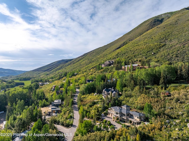 804 Hunter Creek Rd, Aspen, CO 81611 - photo 30