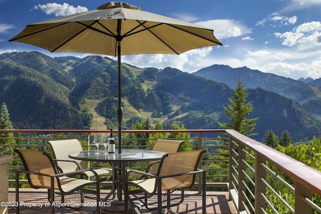 804 Hunter Creek Rd, Aspen, CO 81611 - photo 9