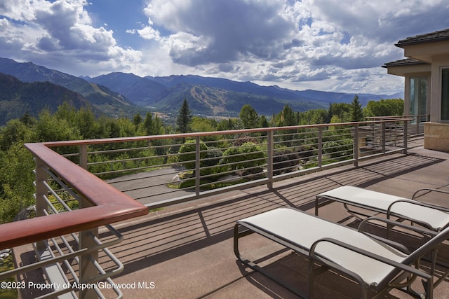 804 Hunter Creek Rd, Aspen, CO 81611 - photo 22