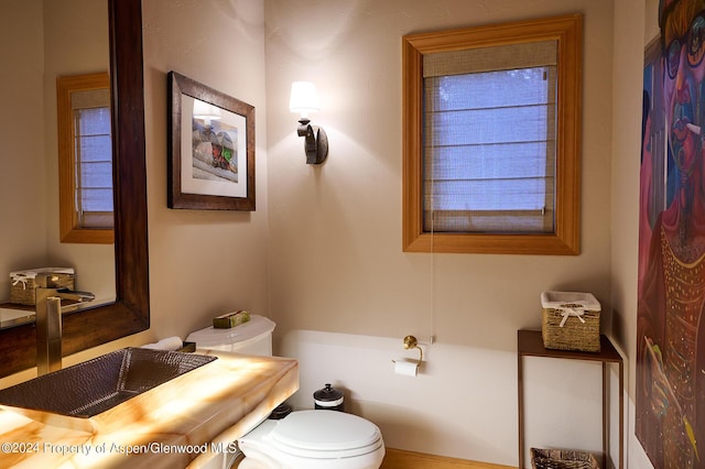 bathroom with sink and toilet