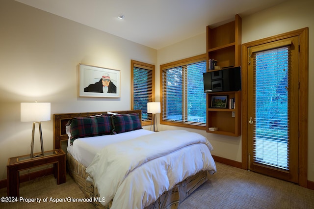 bedroom featuring carpet and multiple windows