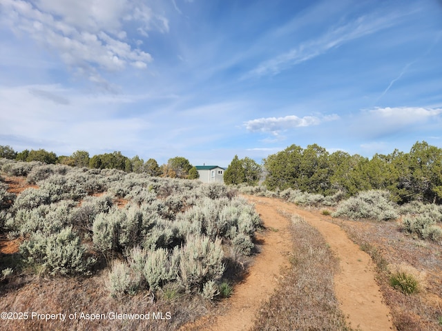 4472 V 5/10 Rd, De Beque, CO 81630 - view of nature