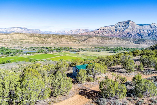 4472 V 5/10 Rd, De Beque, CO 81630 - view of mountain background