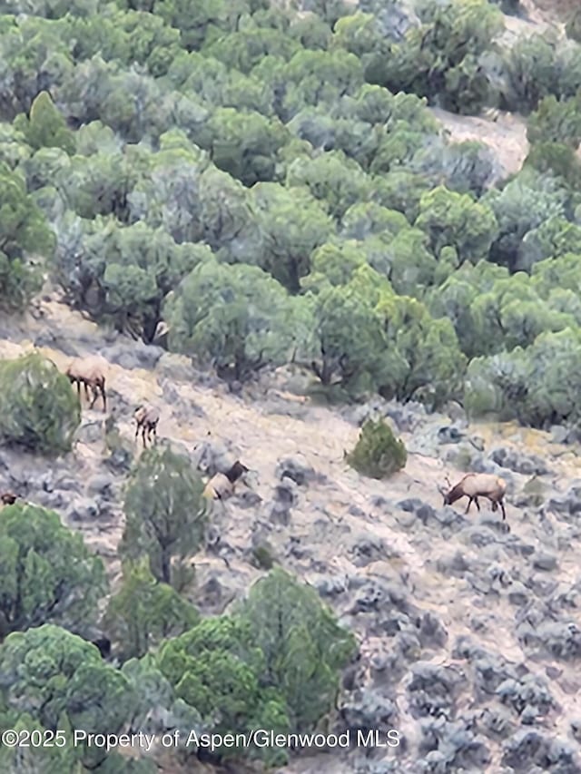 4472 V 5/10 Rd, De Beque, CO 81630 - aerial overview of property's location