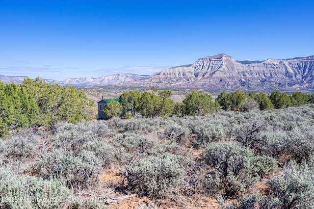 4472 V 5/10 Rd, De Beque, CO 81630 - view of mountain background