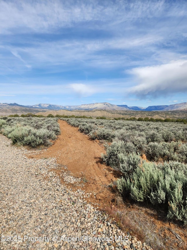 4472 V 5/10 Rd, De Beque, CO 81630 - view of mountain backdrop
