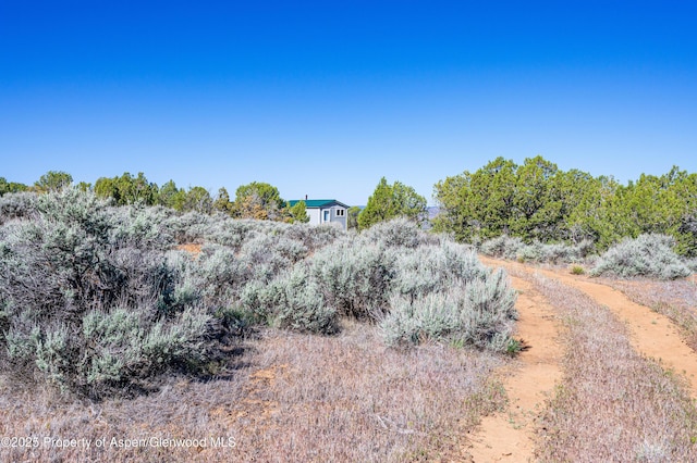 4472 V 5/10 Rd, De Beque, CO 81630 - view of yard