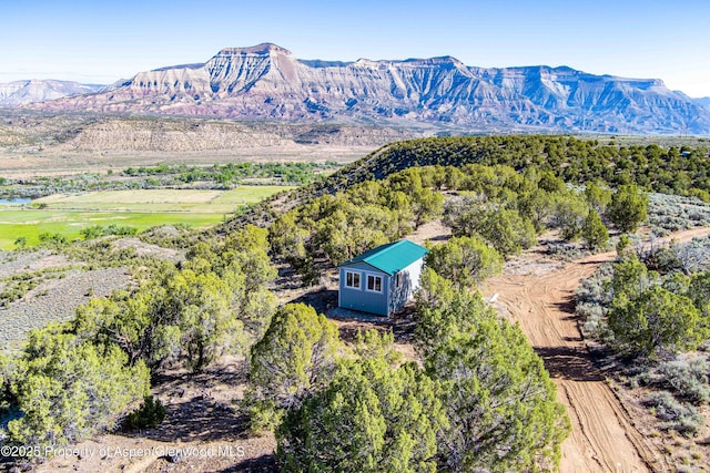 4472 V 5/10 Rd, De Beque, CO 81630 - view of mountain background
