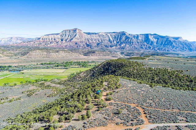 4472 V 5/10 Rd, De Beque, CO 81630 - view of mountain background
