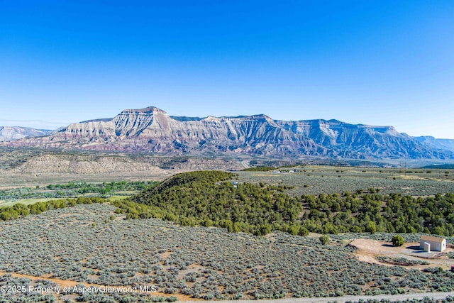 4472 V 5/10 Rd, De Beque, CO 81630 - mountain view