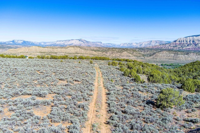 4472 V 5/10 Rd, De Beque, CO 81630 - mountain view