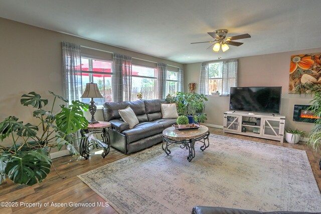 222 Creek Ct, Rifle, CO 81650 - living room featuring a ceiling fan and wood finished floors