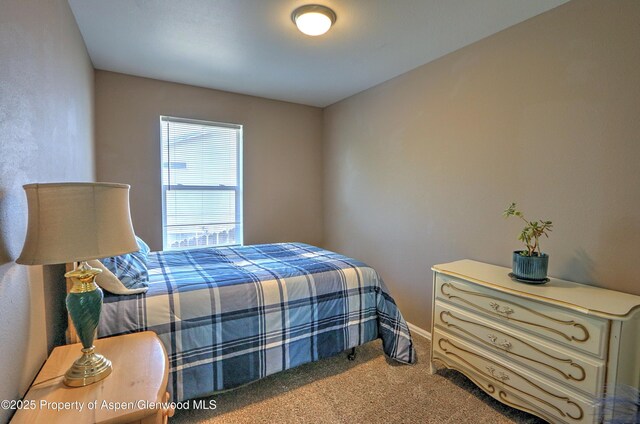 222 Creek Ct, Rifle, CO 81650 - bedroom featuring carpet flooring