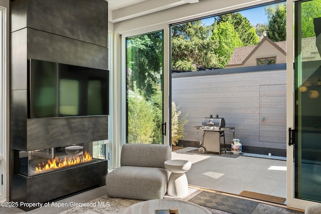 211 W Main St, Aspen, CO 81611 - entryway featuring a glass covered fireplace, plenty of natural light, and wood walls