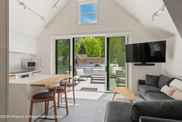 211 W Main St, Aspen, CO 81611 - living area with rail lighting, tile patterned floors, and high vaulted ceiling