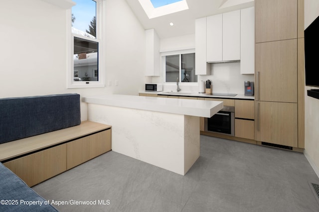 211 W Main St, Aspen, CO 81611 - kitchen featuring stainless steel oven, a skylight, a sink, black electric stovetop, and light countertops