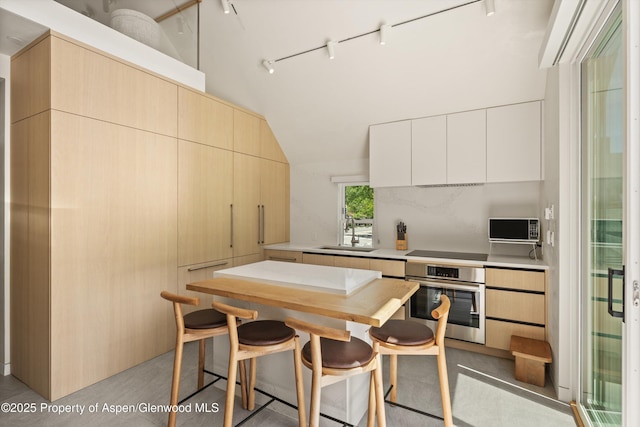 211 W Main St, Aspen, CO 81611 - kitchen with stainless steel oven, a sink, rail lighting, light countertops, and black electric cooktop