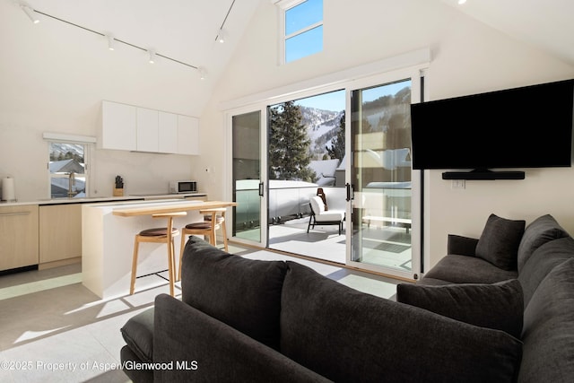 211 W Main St, Aspen, CO 81611 - living area featuring track lighting and high vaulted ceiling