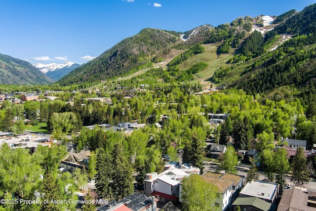 211 W Main St, Aspen, CO 81611 - view of mountain backdrop featuring a heavily wooded area and nearby suburban area