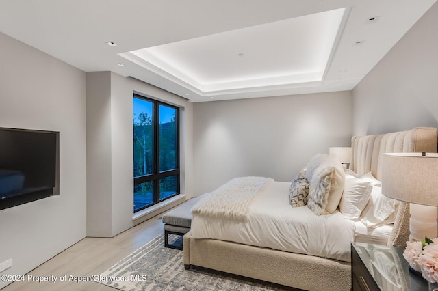 bedroom featuring a raised ceiling