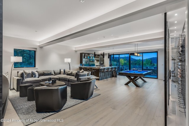 living room featuring hardwood / wood-style floors and billiards