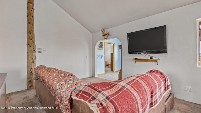2051 Grass Mesa Rd, Rifle, CO 81650 - bedroom with light carpet, arched walkways, and lofted ceiling
