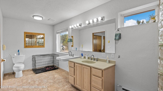 2051 Grass Mesa Rd, Rifle, CO 81650 - bathroom featuring vanity, toilet, stone finish flooring, baseboard heating, and a textured wall