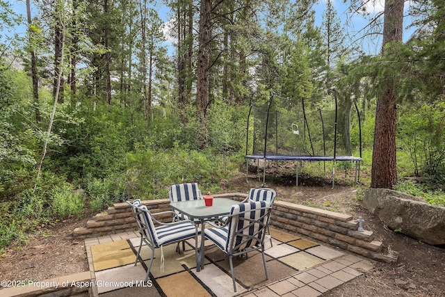 view of patio / terrace with a trampoline and outdoor dining space