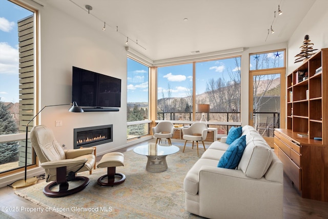 living area featuring a glass covered fireplace, a healthy amount of sunlight, a wall of windows, and wood finished floors