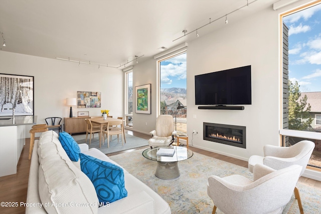 living room with a glass covered fireplace, rail lighting, and wood finished floors