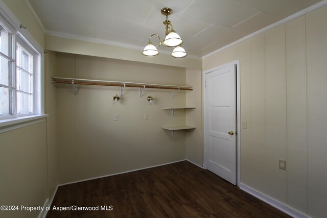 walk in closet featuring dark wood-type flooring and a notable chandelier